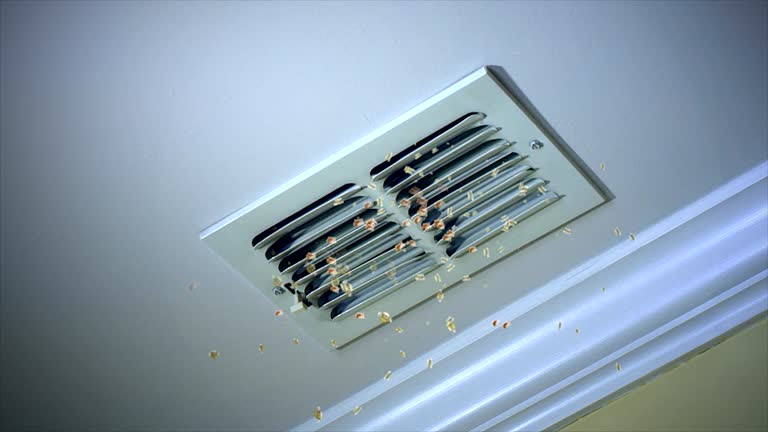 Best Affordable Duct Cleaning Services  in St Croix Falls, WI